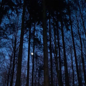 Meet your Posher, Jerome